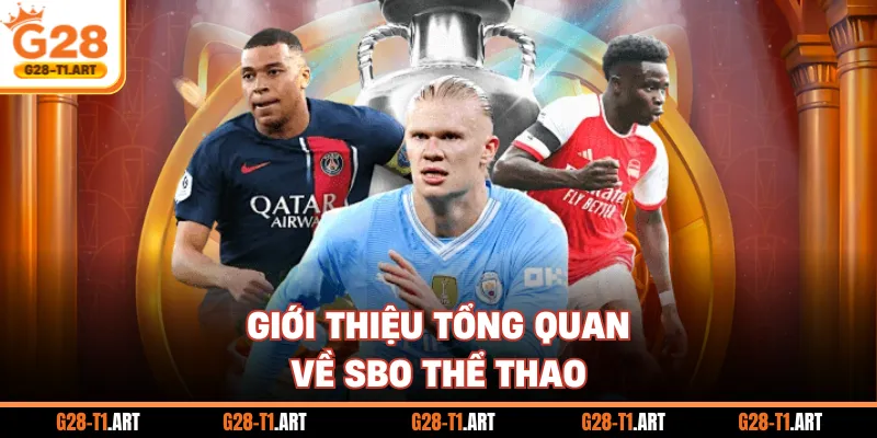 Giới Thiệu Tổng Quan Về SBO Thể Thao